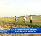 东方铲除滋生腐败土壤